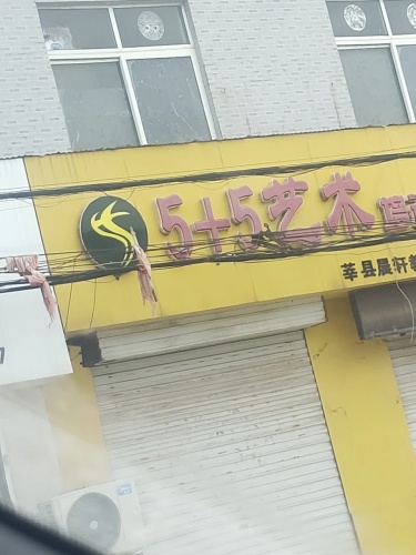 5+5艺术培训学校