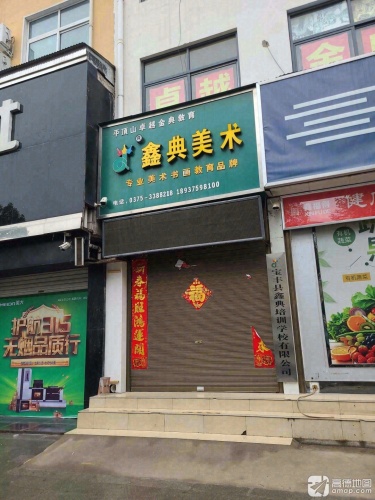 宝丰县鑫典艺术培训有限公司