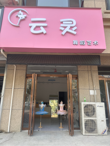 云灵舞蹈艺术