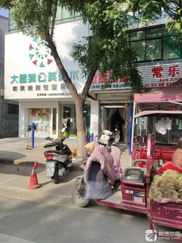 大墨蒲公英美术