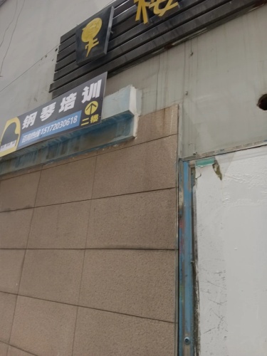 钢琴培训