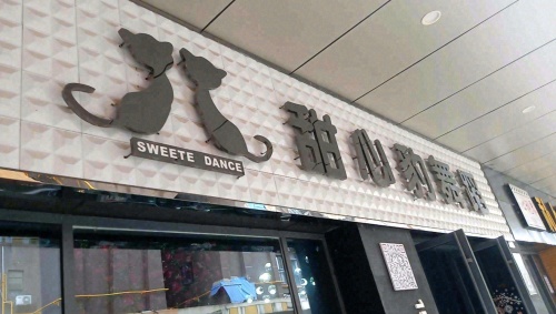 甜心豹舞蹈