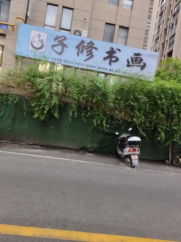 子修书画