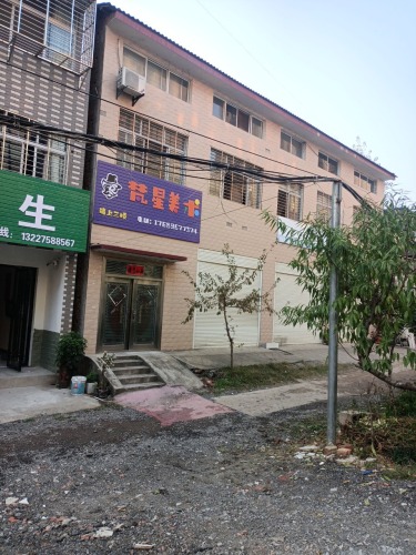 梵星美术