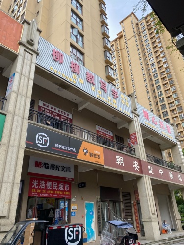 柳柳教写字