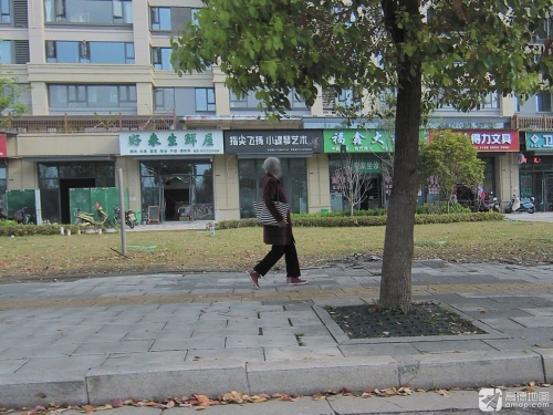 指尖飞扬小提琴艺术