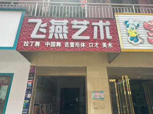 飞燕艺术教育