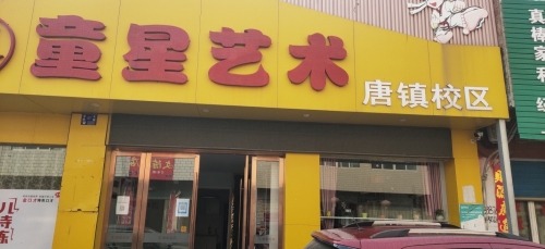 童星艺术(唐镇校区)