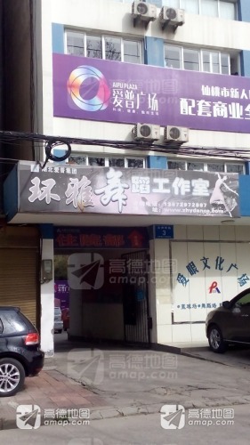 环雅舞蹈