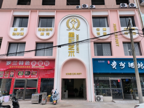 星彩艺术培训学校