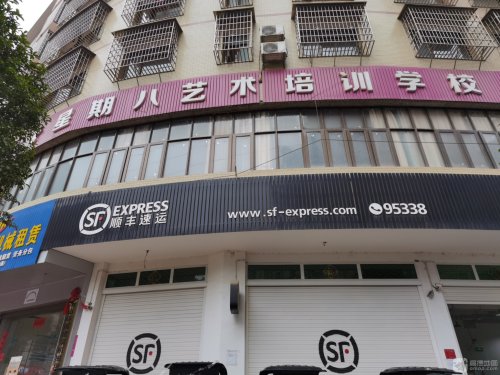 星期八艺术培训学校