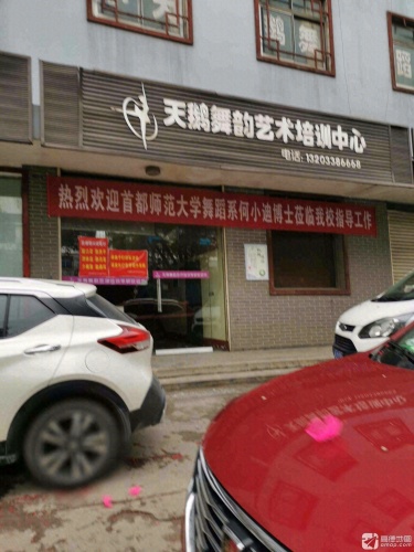 天鹅舞韵艺术培训中心