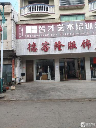 智才艺术培训学校