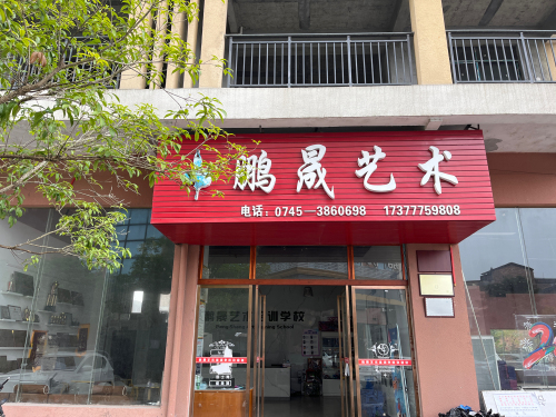 鹏晟艺术培训学校