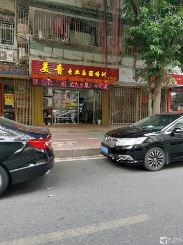 美音专业乐器培训(金涛分店)