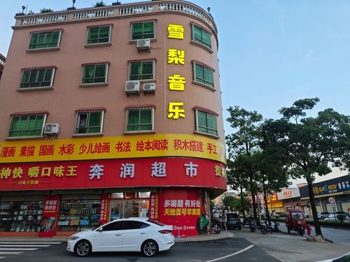 雪梨音乐(水口校区)