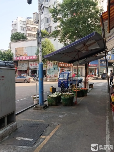 晓雯音乐学校(江门育德分校)