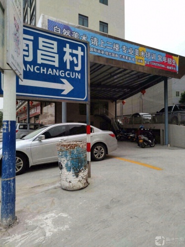 自然美术
