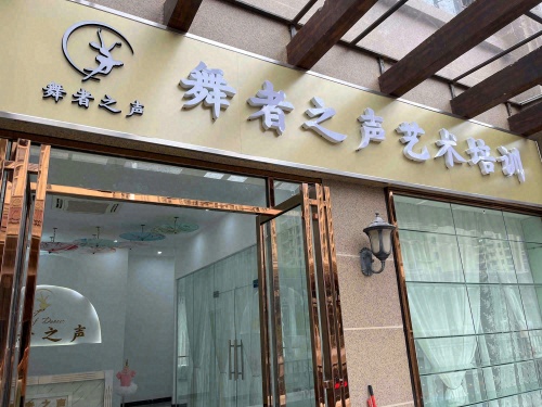 舞者之声艺术培训