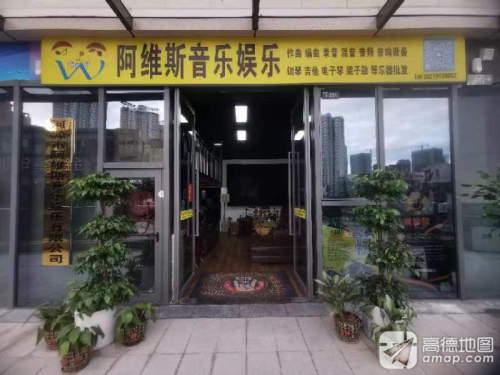 阿维斯音乐娱乐