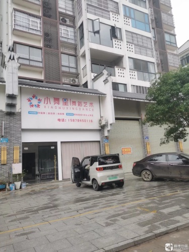 小舞星舞蹈艺术