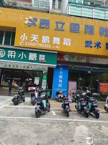 小天鹅舞蹈