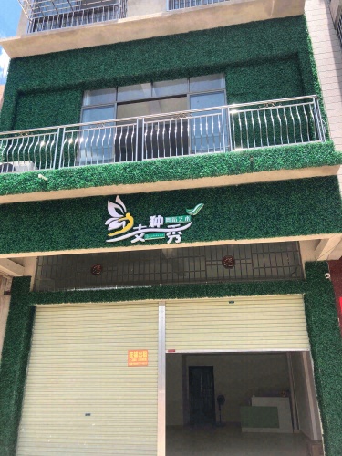 一支独秀舞蹈