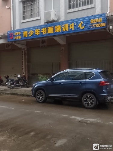 桂平市社步镇青少年书画培训中心