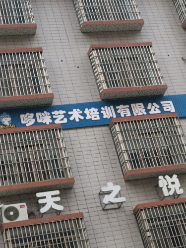 哆咪艺术培训有限公司
