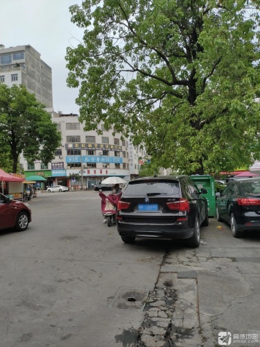 彩虹树艺术培训中心