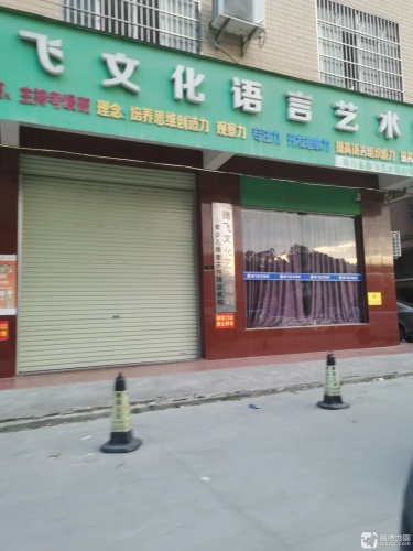 腾飞文化语言艺术培训