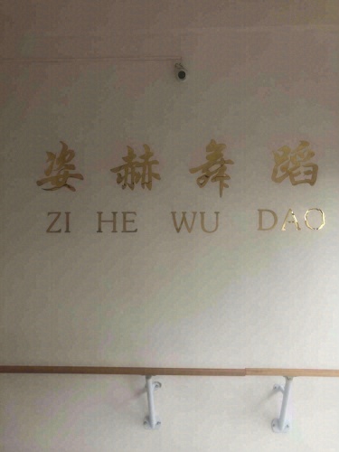 三亚姿赫舞蹈培训咨询服务中心