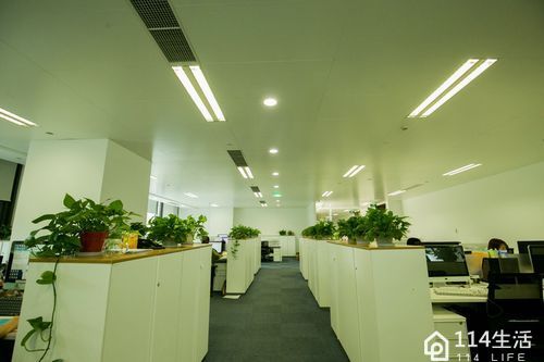 舞精灵艺术培训中心