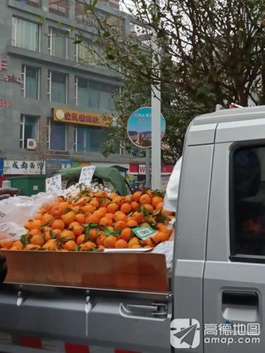 金孔雀舞校(暂停营业)
