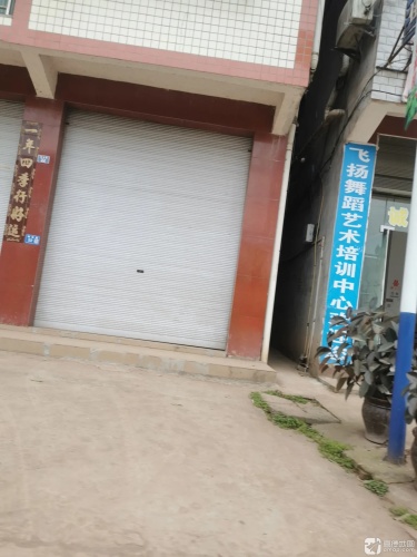 蓬安飞扬舞蹈艺术培训中心