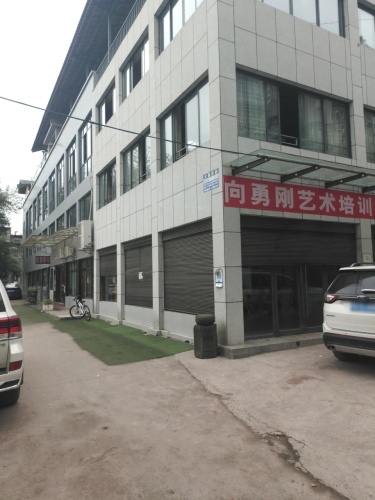 向勇刚艺术培训