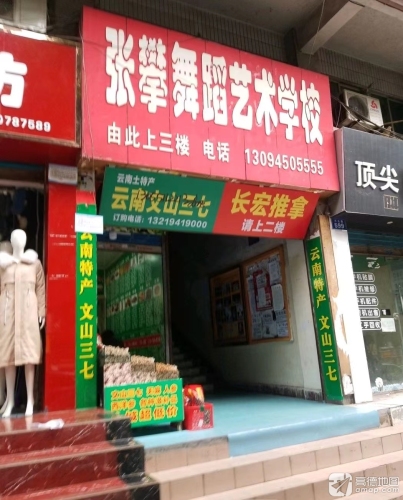 张攀舞蹈艺术学校