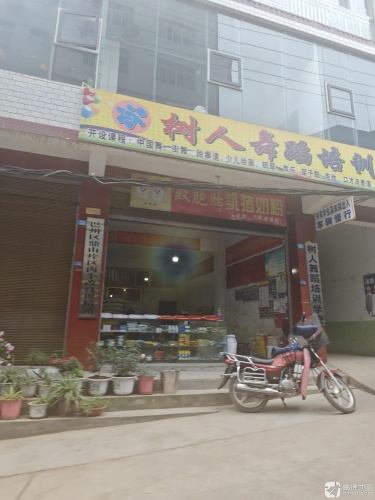 鼎山镇树人舞蹈培训学校