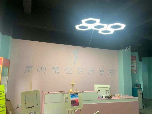 声呐舞忆艺术学校