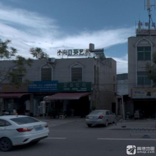 小向日葵艺术
