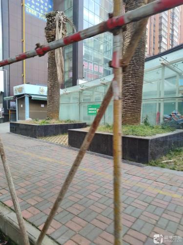 蕾曼舞蹈(长欣中央广场)