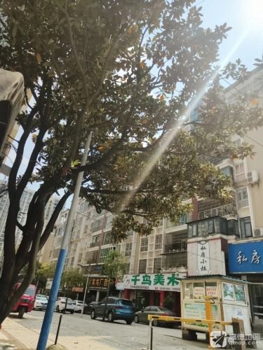 千鸟美术