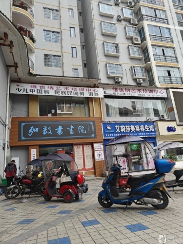 维也纳艺术培训中心
