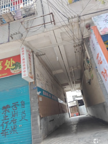 运动美人舞蹈培训中心