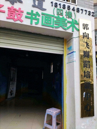 郭向飞舞蹈培训