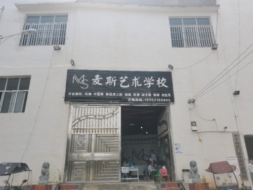 麦斯艺术学校