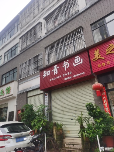 知青书画