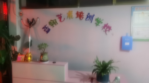 隆阳区蓝翎艺术培训学校