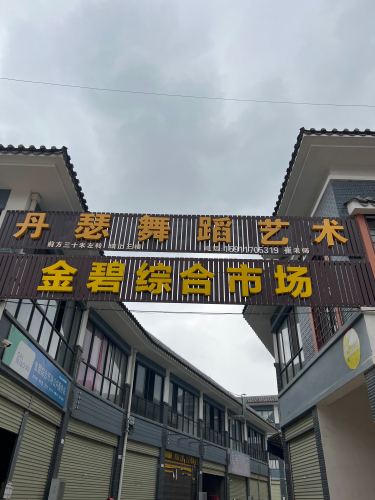 丹瑟舞蹈艺术