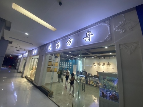 艺海方舟艺术培训学校